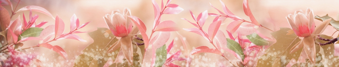 skinali 3894